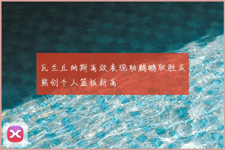瓦兰丘纳斯高效表现助鹈鹕取胜灰熊创个人篮板新高